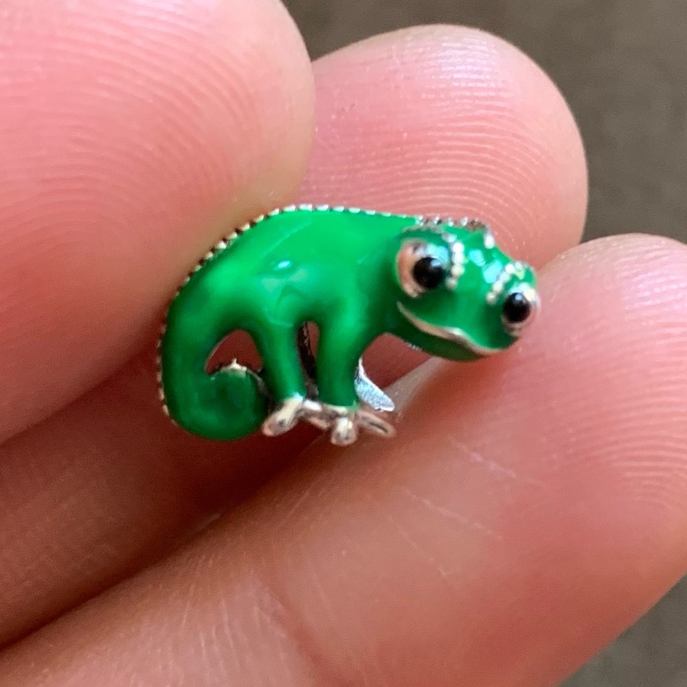 NWOT Tangled Pascal Color Changing Charm Sterling Silver 925